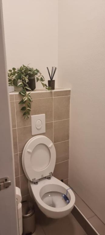 a bathroom with a toilet with plants on a shelf at Cour st Didier in Nevers