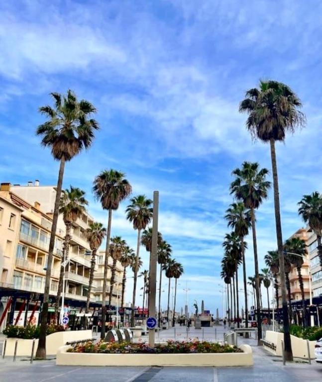 une rangée de palmiers dans une rue avec des bâtiments dans l'établissement Studio côté plage tout équipé vue sur le Canigou, à Canet
