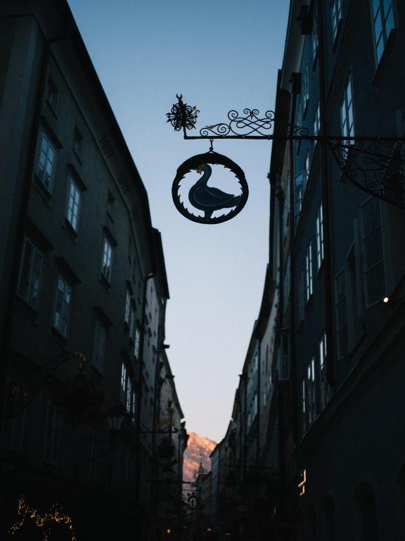 artHotel Blaue Gans - Resim 9