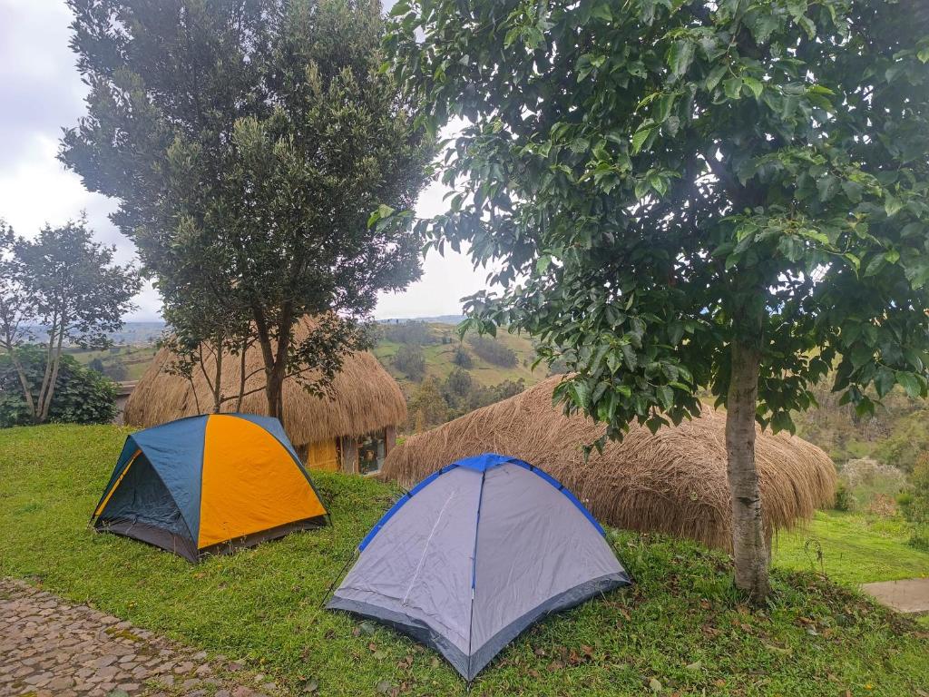 Příroda nedaleko kempu