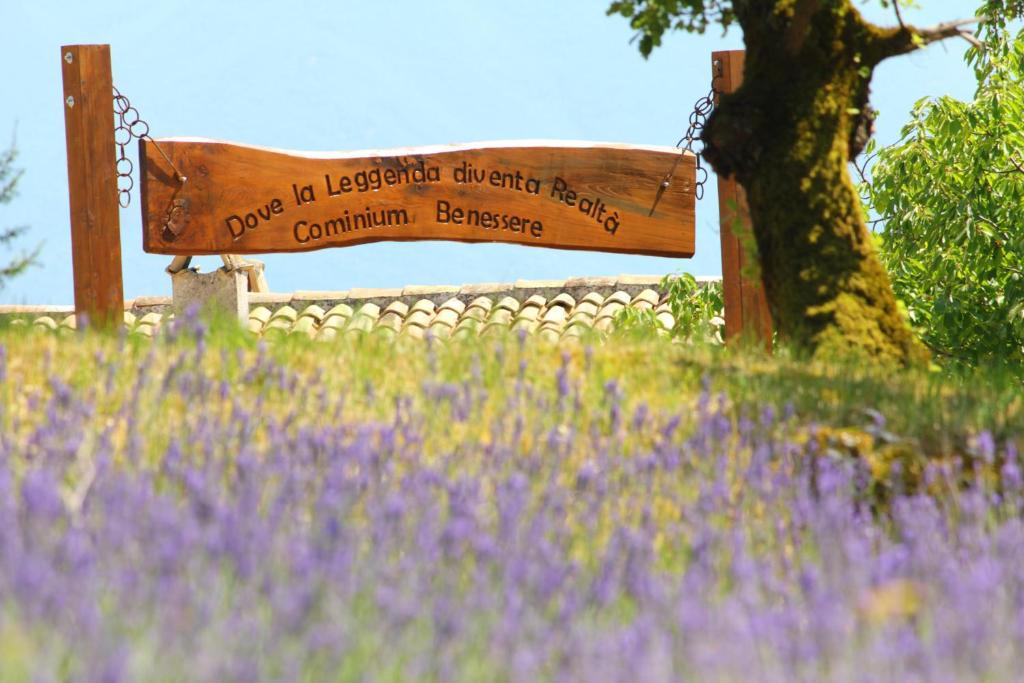 eine Holzbank auf einem Feld aus lila Blumen in der Unterkunft Cominium Benessere in Alvito