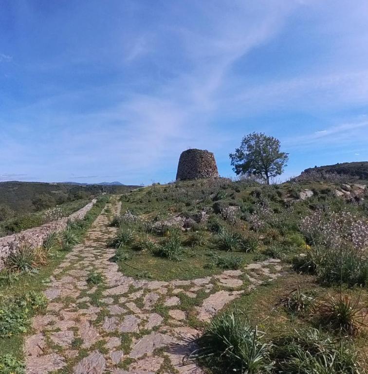 Příroda nedaleko apartmánu