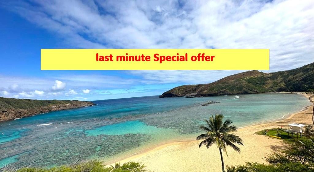 a beach with a palm tree and the words last minute special offer at Royal Kuhio 1602 - Spacious Studio with Stunning Mountain Views in the Heart of Waikiki! in Honolulu