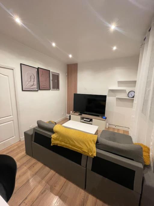 un salon avec un canapé et une télévision à écran plat dans l'établissement Charmant appartement américain, à Saint-Denis