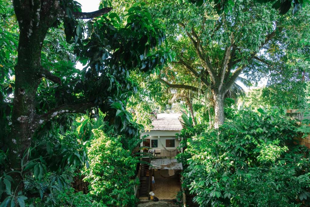 een huis in het midden van enkele bomen bij Pituba Ville - Ap 1 - 2 Quartos in Itacaré