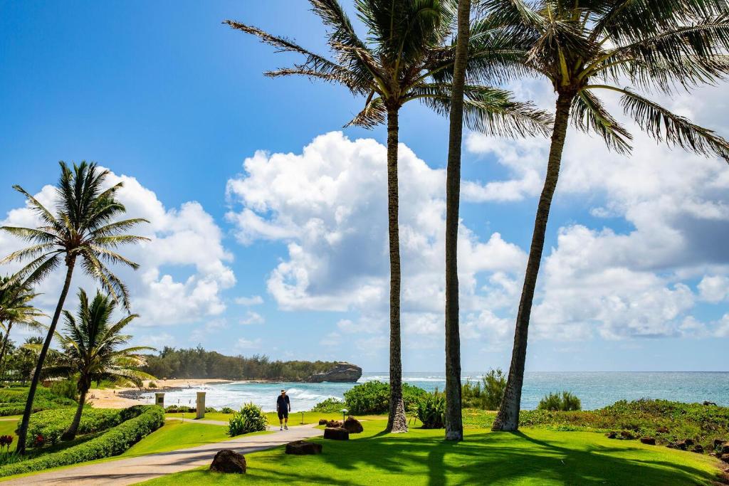 a group of palm trees on the beach at Poipu Sands 513 - Ocean Front in Koloa