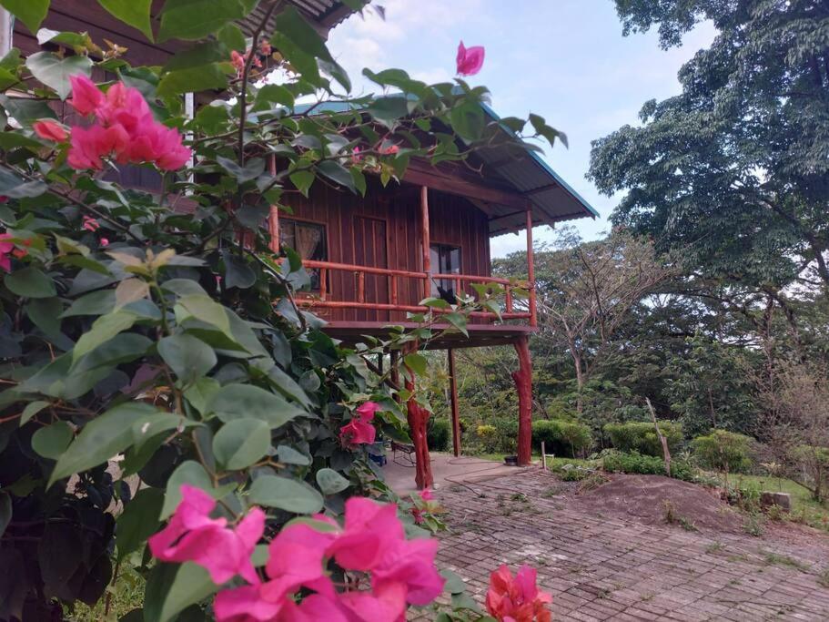 Zahrada ubytování Cabaña Finca el Corteza