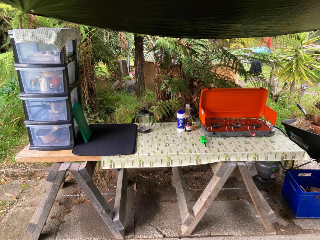 Kiwi cabin with geothermal pool by lake Taupo - Resim 23