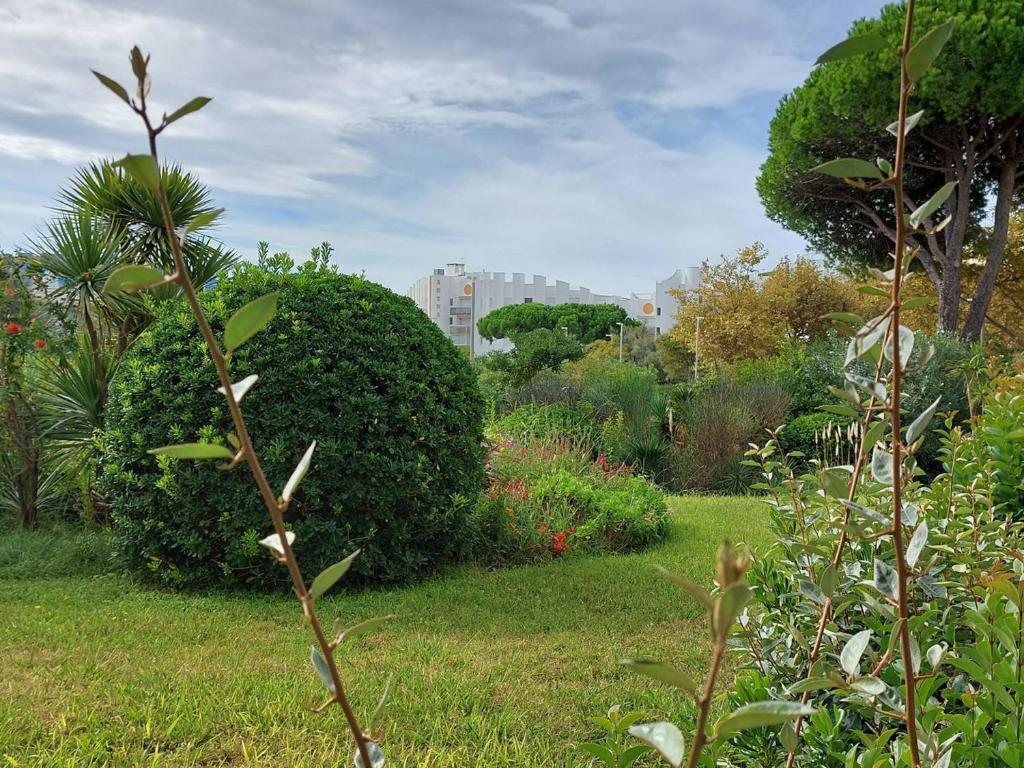 un jardin avec de l'herbe verte, des arbres et des buissons dans l'établissement Studio Cabine Rénové Proche Plage, Commerces, Clim, WIFI, Parking - FR-1-328-230, à La Grande Motte