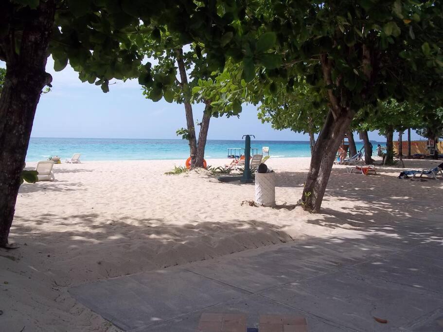 尼格瑞尔Studio Apt on 7 Mile Beach at Negril Beach Club的一片树木繁茂的海滩,一片大海
