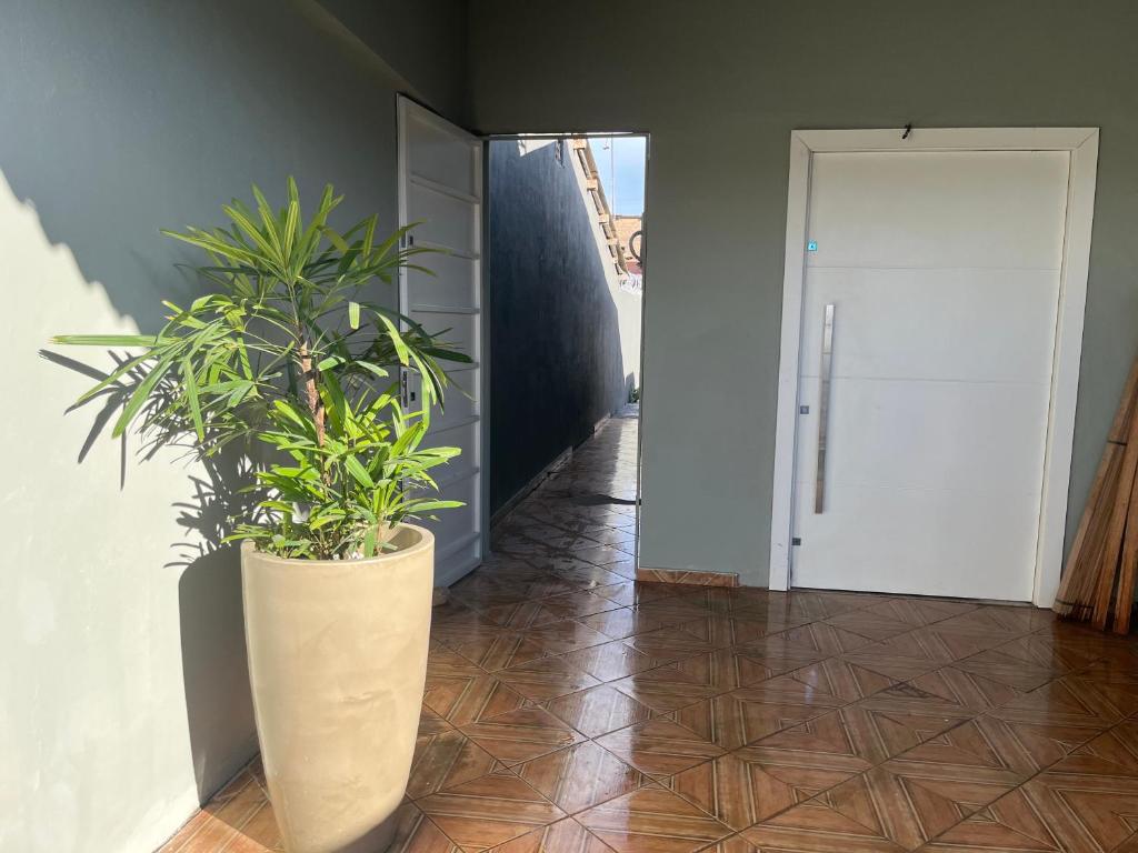 a hallway with a large vase with a plant in it at Suíte com sala de estar in Porto Velho