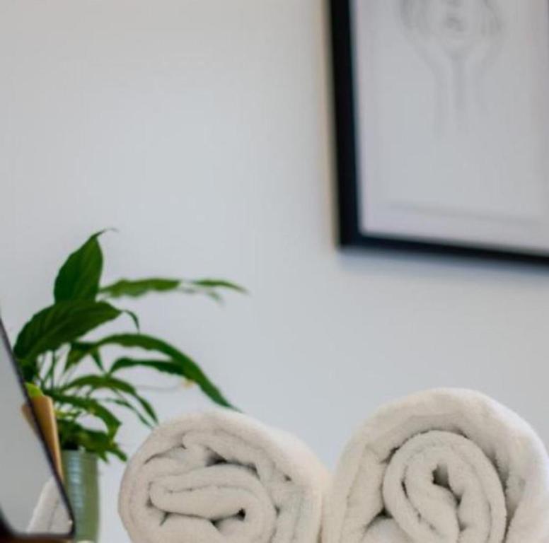 Gorgeous in Green - 2 bed Central Oasis w/king bed - Resim 32