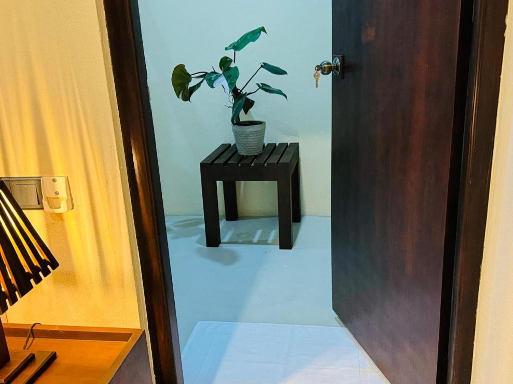 Fotografie z fotogalerie ubytování Nikara Beach Villas Arugambay v destinaci Arugam Bay