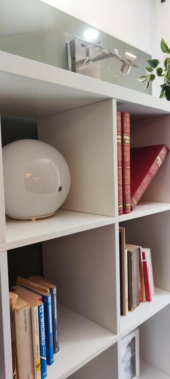 The library in Az apartmant
