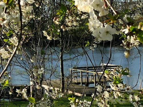 Gutshof Langensee, Scheunenblick - Three-Bedroom House