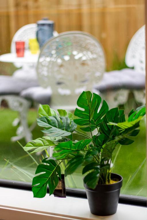 Gorgeous in Green - 2 bed Central Oasis w/king bed - Resim 45