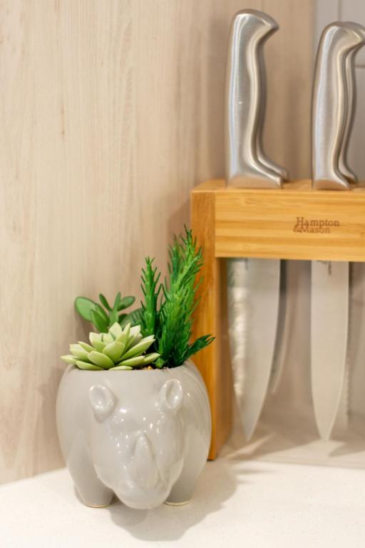 Gorgeous in Green - 2 bed Central Oasis w/king bed - Resim 22