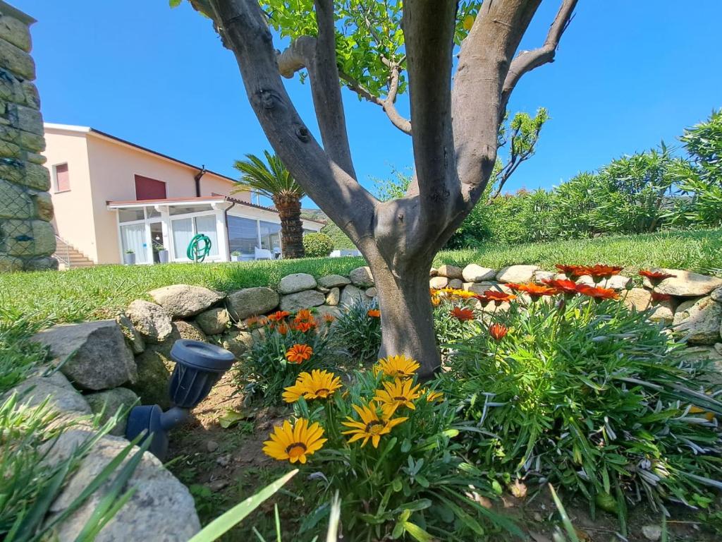 馬爾恰納馬里納的住宿－B&B Capo al Piano，一座花园,花园内种有树木,设有石墙