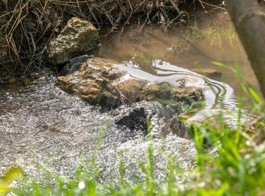 Robinzonski Kamp Hofman - 8