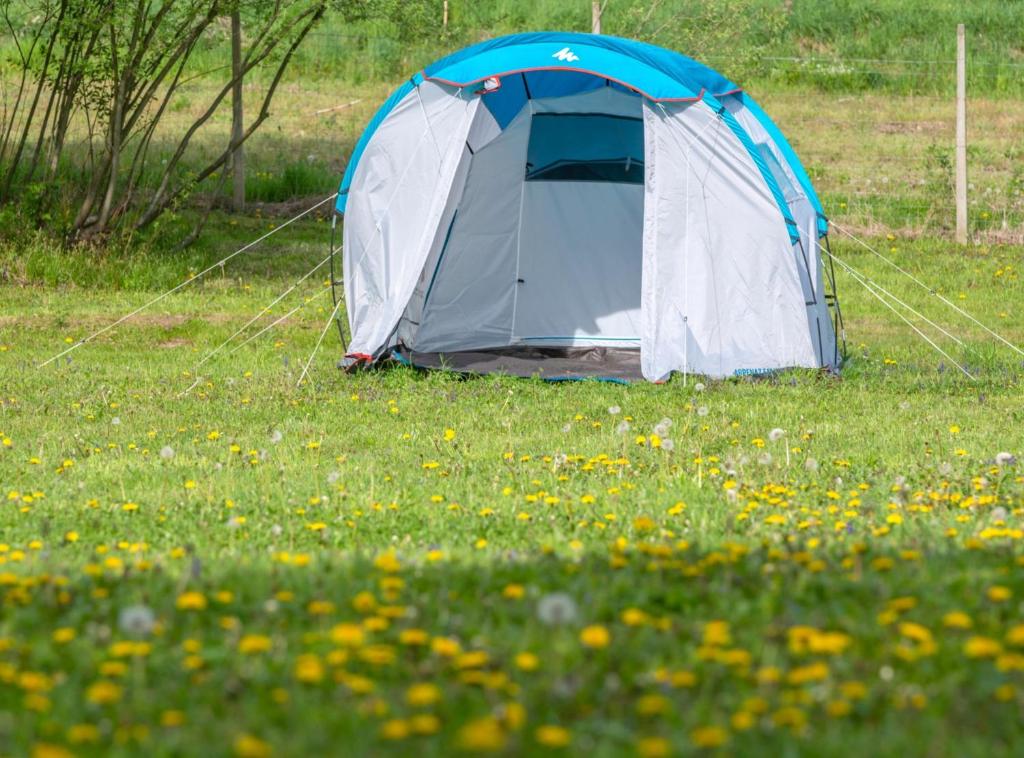 Robinzonski Kamp Hofman - 13