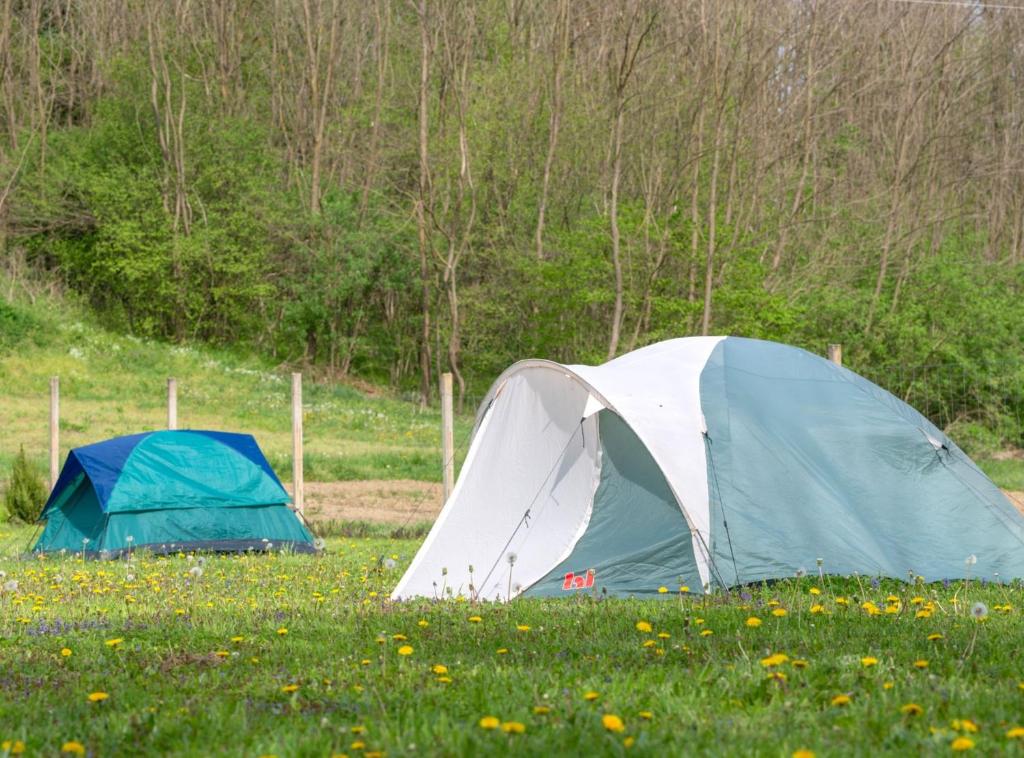 Robinzonski Kamp Hofman - 14