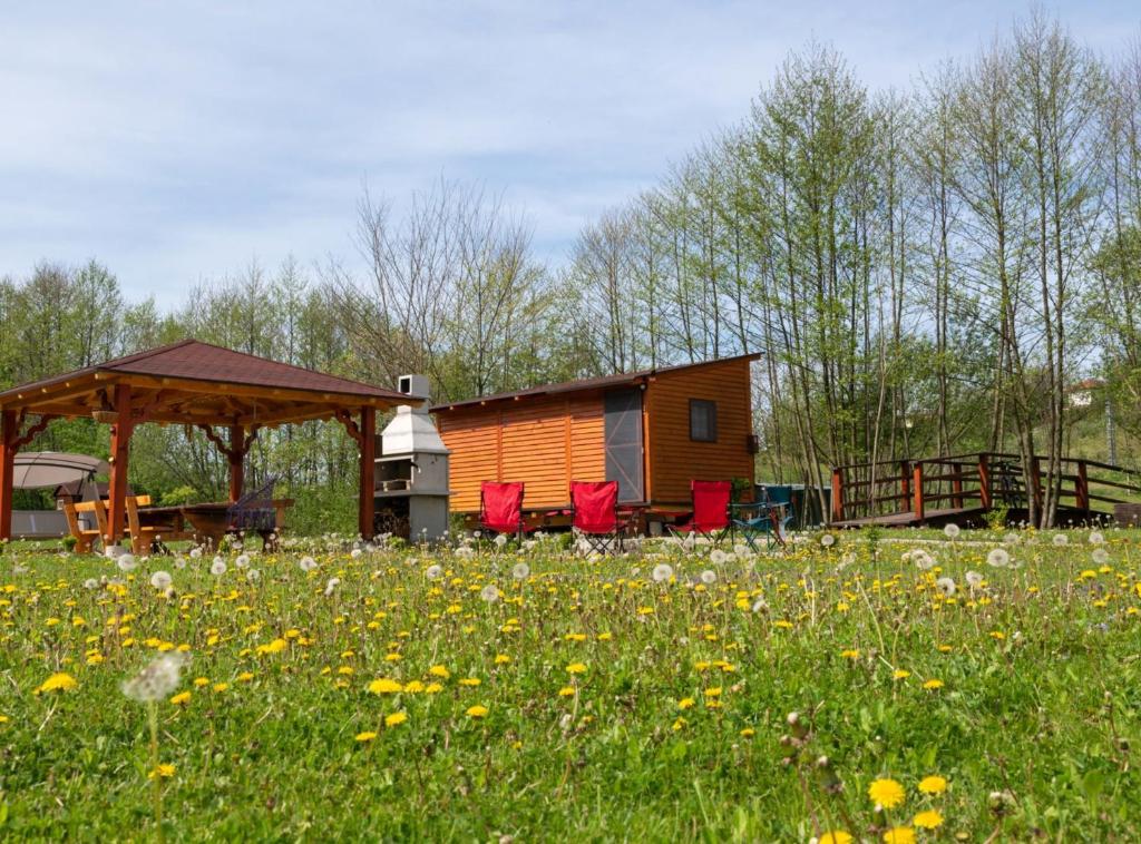 Robinzonski Kamp Hofman - 2