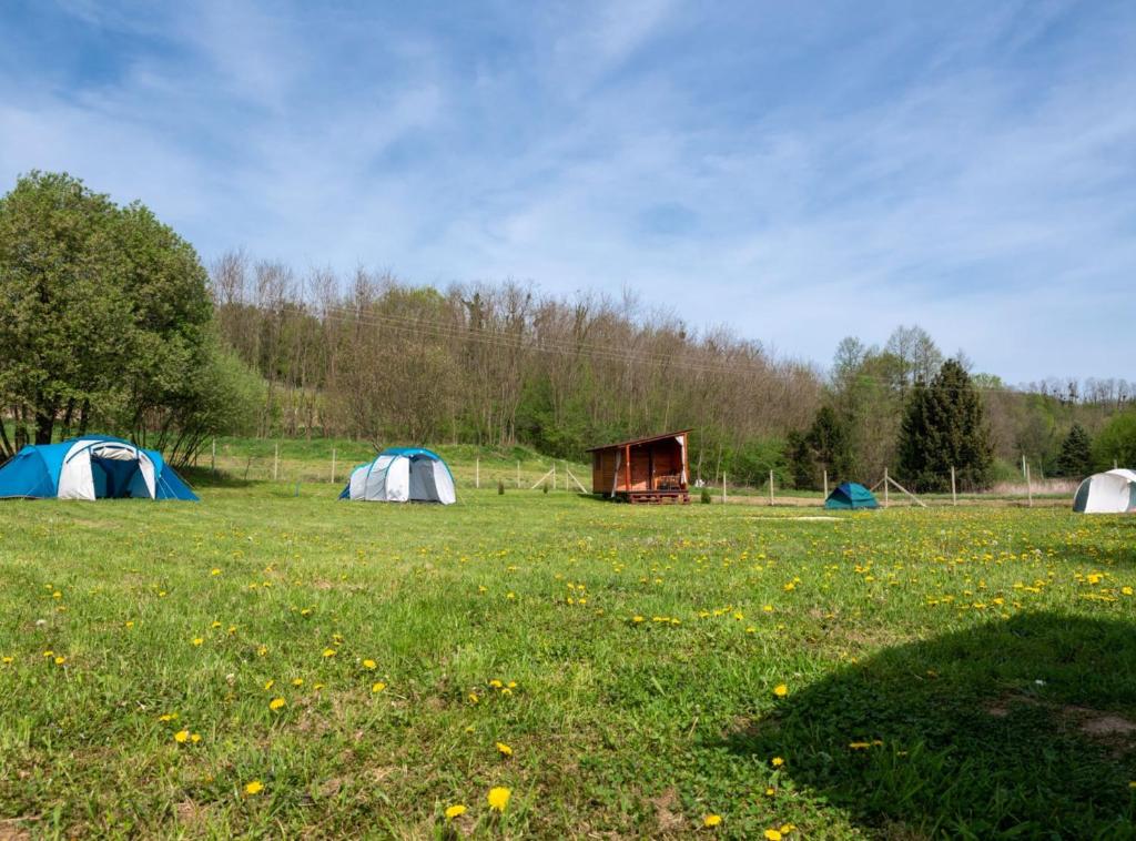 Robinzonski Kamp Hofman - 11