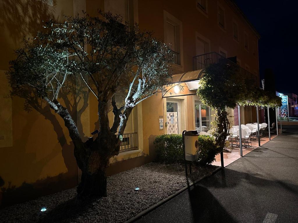 un árbol delante de un edificio por la noche en Hôtel de l'Orb, en Bédarieux