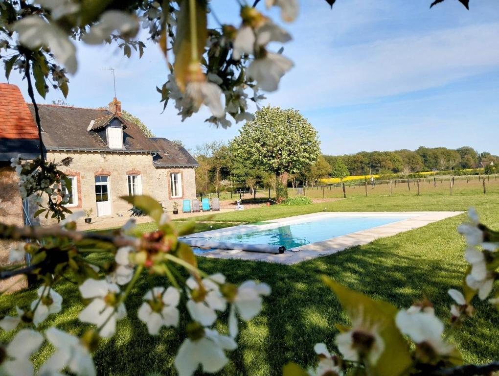 una casa con piscina frente a un patio en Gîte à la campagne -maison individuelle -Piscine en Semblançay