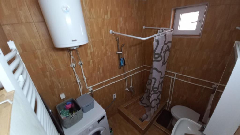 Koupelna v ubytování Apartman Ivona