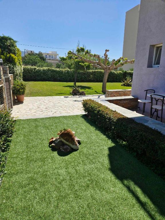 pies leżący na trawie na podwórku w obiekcie OASIS rooms w mieście Karistos