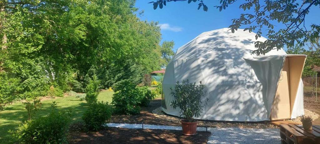 Dió-Dóm في Ebes: خيمة قبة في حديقة بها نبات