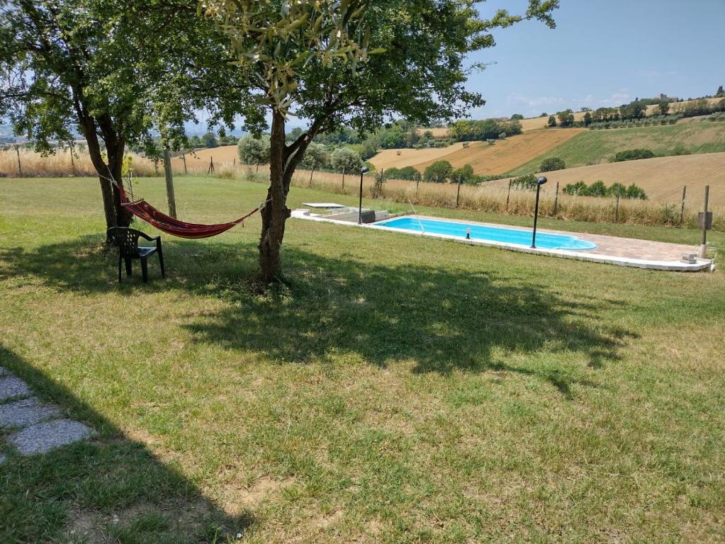 a hammock under a tree next to a pool at Il Gelso in Morrovalle