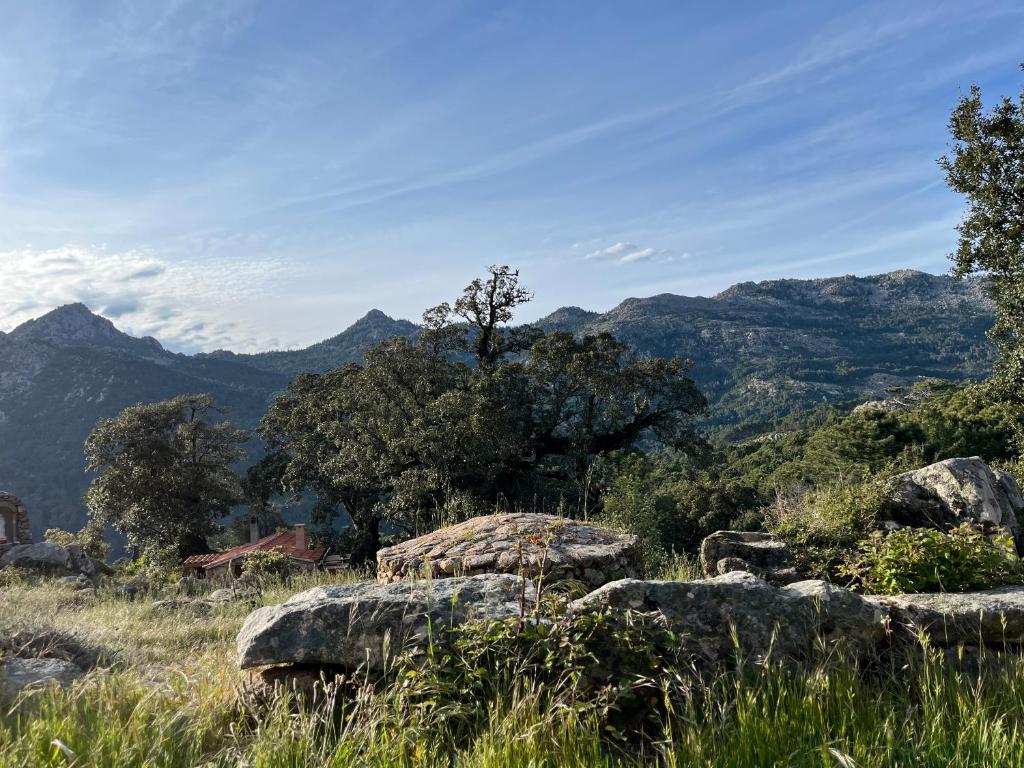 a field with rocks and trees and mountains at Gîte à Piscia de Figari Petru Barbara in Figari