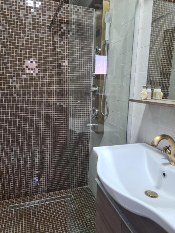 Pensiunea WhiteRiver - Double Room With Private Bathroom