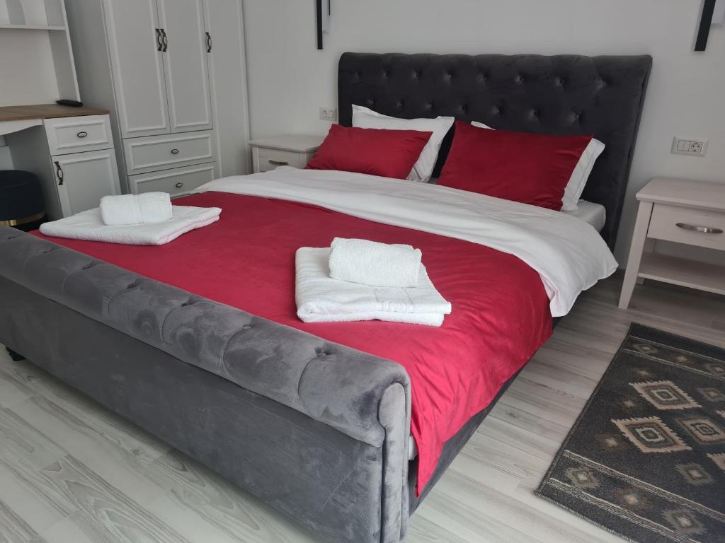 Pensiunea WhiteRiver - Deluxe Queen Room