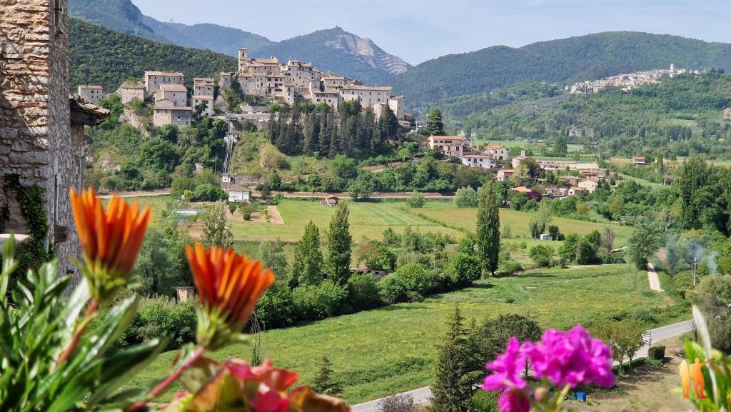 a view of a town on a hill with flowers at Borgo San Valentino in Arrone