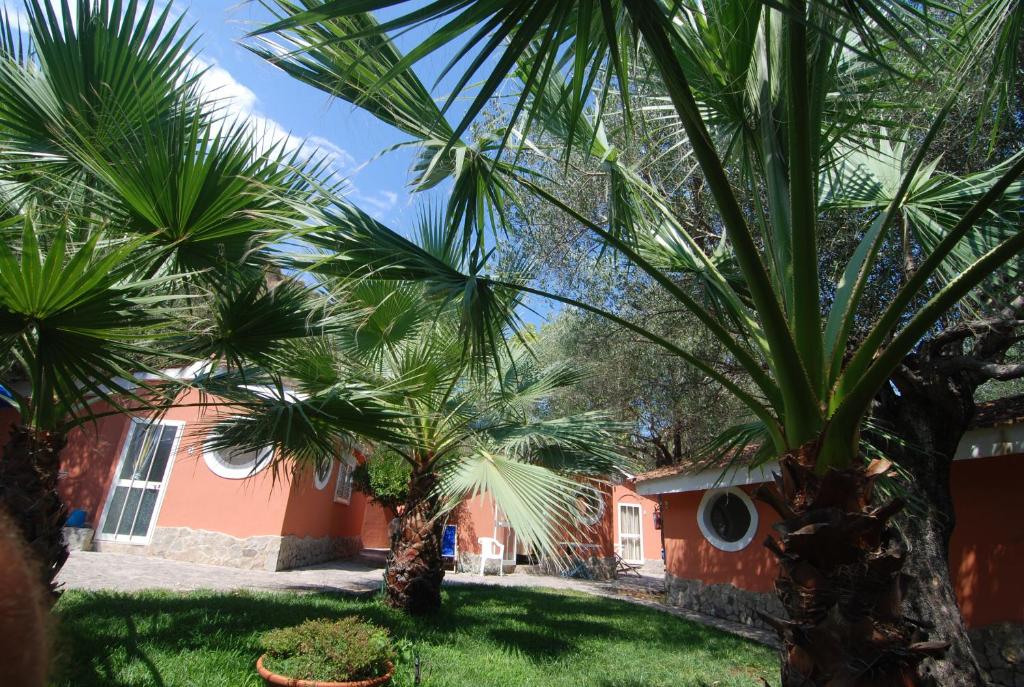a group of palm trees in front of a house at Villaggio Camping Esca in Marina di Camerota