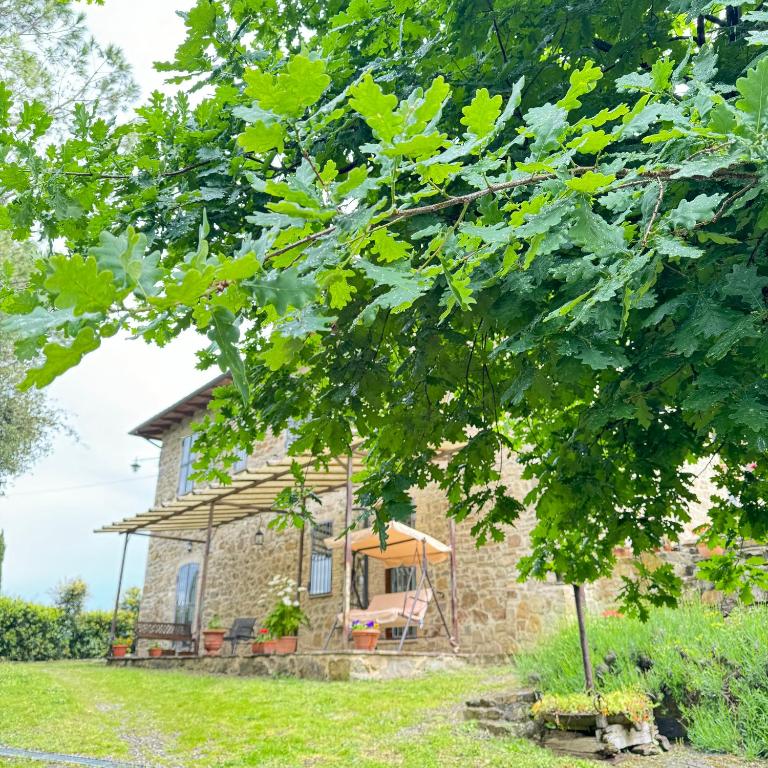 B&B Podere Cottimellino - Montalcino - Val d'Orcia - 16