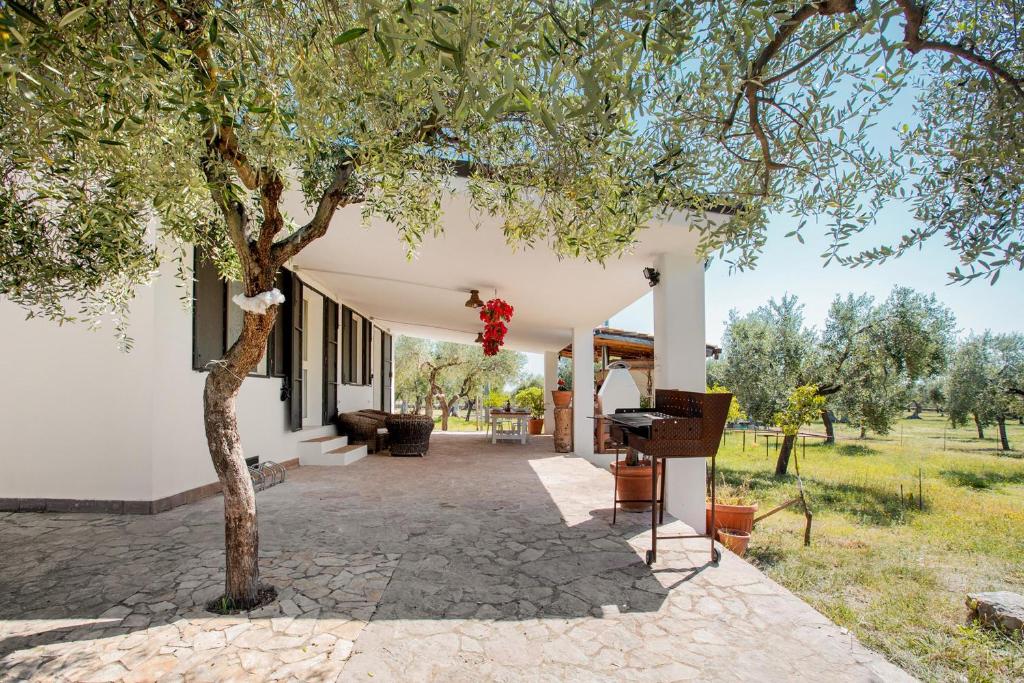 ein weißes Haus mit einem Baum davor in der Unterkunft Villetta tra Mari e Monti by BarbarHouse in San Giovanni Rotondo