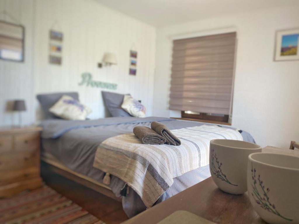 Postel nebo postele na pokoji v ubytování LPSV Experience B&B in La Palud sur Verdon