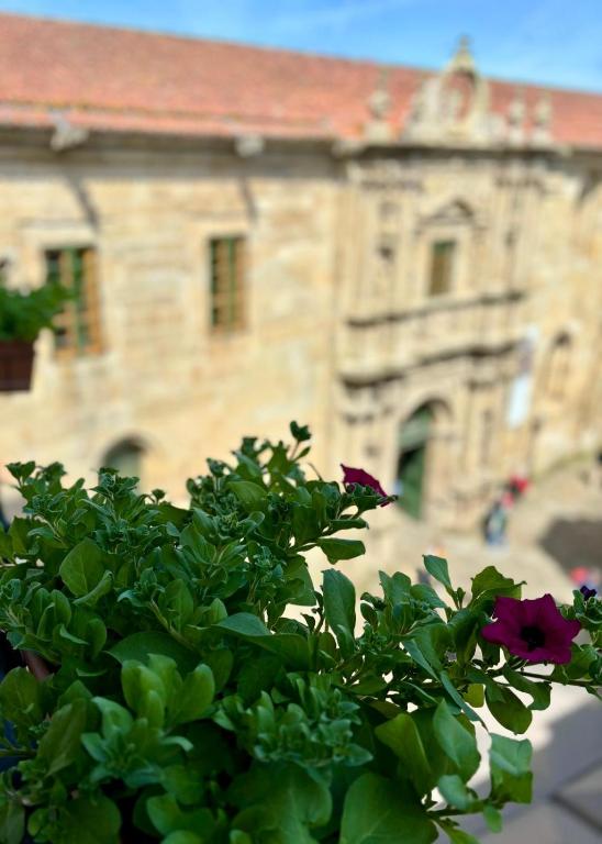 Casa Celsa-Barbantes - 9