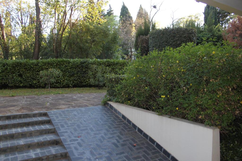 a set of stairs in a garden with bushes w obiekcie Studio lumineux proche centre-ville de Montpellier w Montpellier