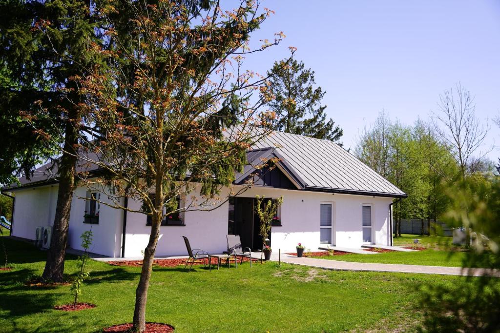 une maison blanche avec un arbre dans la cour dans l'établissement Siedlisko Staszkówka, 