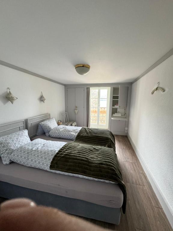 1 dormitorio con 1 cama grande en una habitación en Lake View Double Room en Därligen
