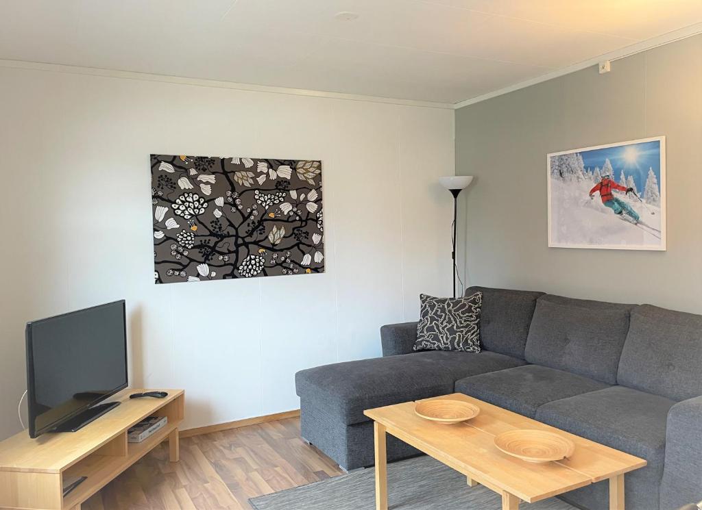 TV a/nebo společenská místnost v ubytování Lassiebyn 10 Entire Apartment with Parking & Kitchen