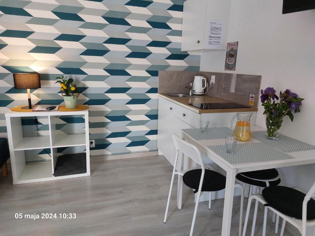 Kuchyňa alebo kuchynka v ubytovaní Apartamenty jednopokojowe Aksamitka