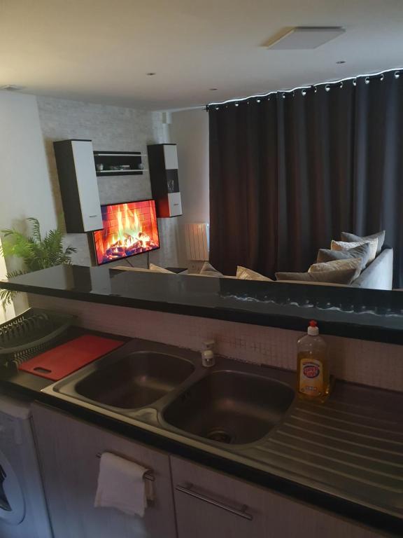 Il comprend une cuisine avec un évier et une cheminée. dans l'établissement L'atypique cosy, à Santeny