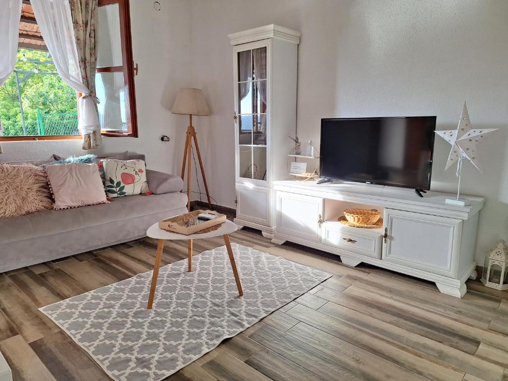 uma sala de estar com um sofá e uma televisão de ecrã plano em Banjo Rustic House Lake view em Virpazar
