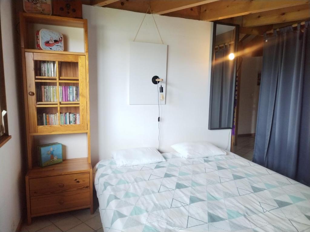 a bedroom with a bed and a book shelf at Appartement Le Grand Nid - Bed and Books in Sciez
